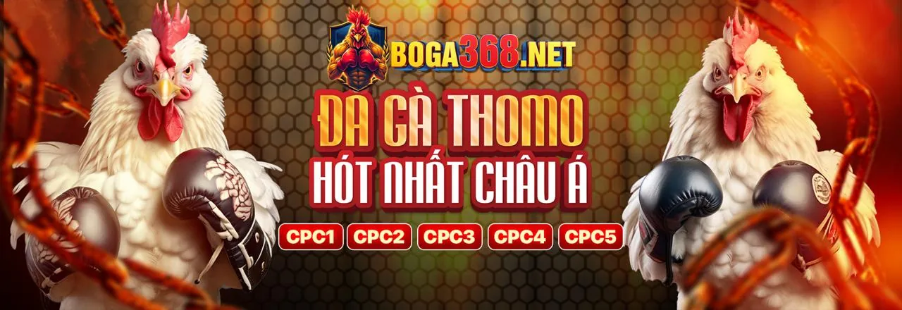 Cấu trúc cấp độ VIP 8kbet 456
